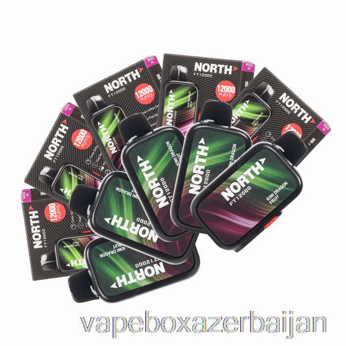 Vape Smoke [10-Pack] North FT12000 Disposable